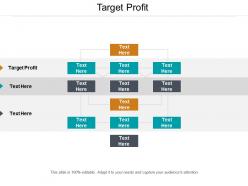 Target profit ppt powerpoint presentation pictures example introduction cpb