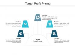 Target profit pricing ppt powerpoint presentation portfolio pictures cpb