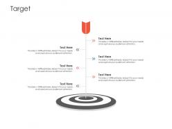 Target Project Strategy Process Scope And Schedule Ppt Styles Icons