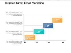 Targeted direct email marketing ppt powerpoint presentation model display cpb