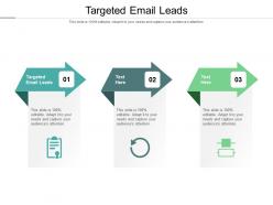Targeted email leads ppt powerpoint presentation slides backgrounds cpb
