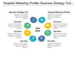 Targeted marketing profiles business strategy tool customer segmentation cpb