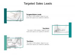 Targeted sales leads ppt powerpoint presentation infographic template guide cpb