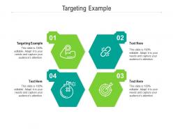 Targeting example ppt powerpoint presentation gallery designs download cpb