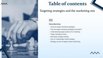 Targeting Strategies And The Marketing Mix Powerpoint Presentation Slides V Visual Informative