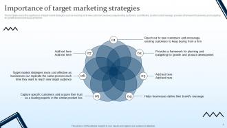 Targeting Strategies And The Marketing Mix Powerpoint Presentation Slides V Analytical Informative