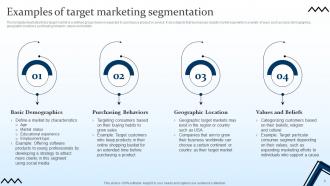 Targeting Strategies And The Marketing Mix Powerpoint Presentation Slides V Attractive Informative