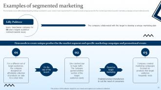Targeting Strategies And The Marketing Mix Powerpoint Presentation Slides V Professional Analytical