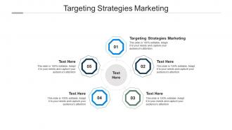 Targeting strategies marketing ppt powerpoint presentation slides layout ideas cpb