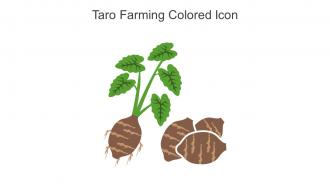 Taro Farming Colored Icon In Powerpoint Pptx Png And Editable Eps Format