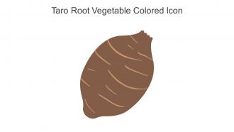 Taro Root Vegetable Colored Icon In Powerpoint Pptx Png And Editable Eps Format
