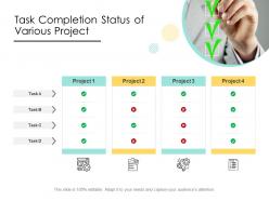 Task Completion Status Of Various Project