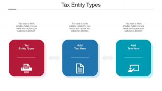 Tax Entity Types Ppt Powerpoint Presentation Icon Microsoft Cpb