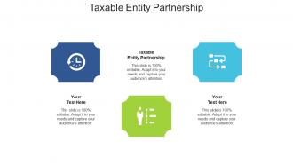 Taxable entity partnership ppt powerpoint presentation infographic template layout cpb