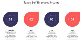 Taxes Self Employed Income Ppt Powerpoint Presentation File Portfolio Cpb
