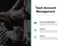 Team account management ppt powerpoint presentation show icons cpb