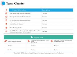 Team charter project need ppt powerpoint presentation file icon