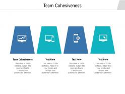 Team cohesiveness ppt powerpoint presentation summary example cpb