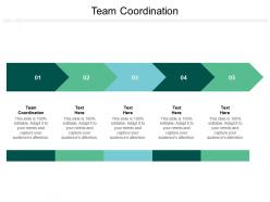 Team coordination ppt powerpoint presentation icon mockup cpb