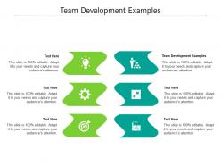 Team development examples ppt powerpoint presentation gallery show cpb