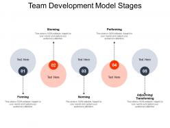 Team development model stages