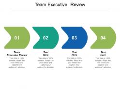 Team executive review ppt powerpoint presentation infographics slide download cpb
