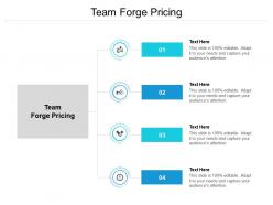 Team forge pricing ppt powerpoint presentation file outline cpb