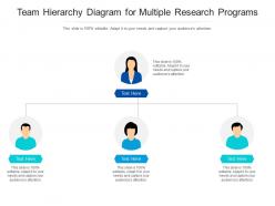 Team hierarchy diagram for multiple research programs infographic template