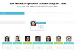 Team hierarchy organization visual for encryption online infographic template