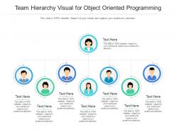 Team hierarchy visual for object oriented programming infographic template