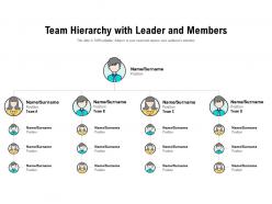 Team hierarchy with leader and members