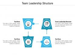 Team leadership structure ppt powerpoint presentation icon sample cpb