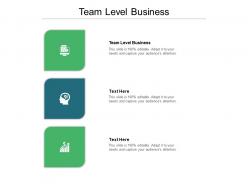 Team level business ppt powerpoint presentation infographics background images cpb