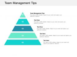 Team management tips ppt powerpoint presentation infographics sample cpb