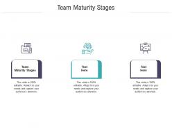 Team maturity stages ppt powerpoint presentation infographic vector cpb