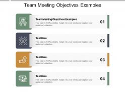 Team meeting objectives examples ppt powerpoint presentation professional show cpb