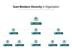 Team members hierarchy in organization