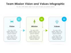 Team mission vision and values infographic
