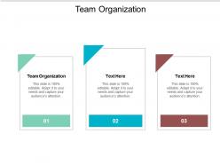 Team organization ppt powerpoint presentation styles grid cpb