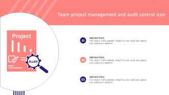 Team Project Management And Audit Control Icon