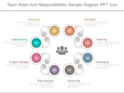 Team roles and responsibilities sample diagram ppt icon