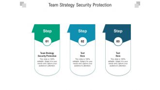 Team strategy security protection ppt powerpoint presentation styles portfolio cpb