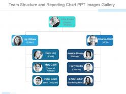 Team structure and reporting chart ppt images gallery