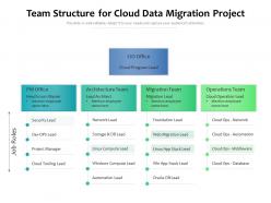 Team structure for cloud data migration project
