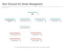 Team structure for vendor management embedding vendor performance improvement plan ppt information