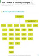 Team Structure Of Data Analysis Company One Pager Sample Example Document