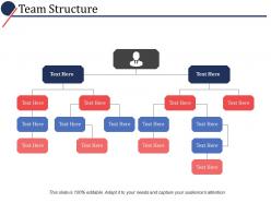 Team structure ppt powerpoint presentation file slide portrait