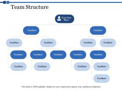 Team structure ppt powerpoint presentation summary icon