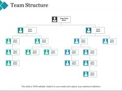 Team structure ppt summary design templates