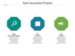 Team successful projects ppt powerpoint presentation ideas grid cpb